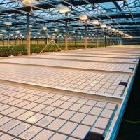 Vente à chaud des plateaux hydroponiques pour les abdominaux