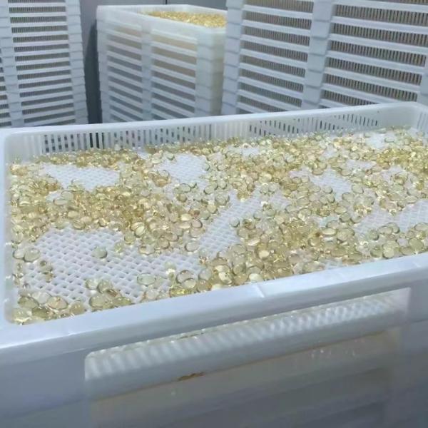 S403 Roll Type Soft Capsule Paintball Machine Automatic Production Line 4 Inch Die Roll
