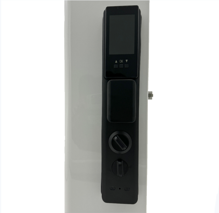 ELA E-760 High-end Smart Fingerprint Door Lock Can Real-time Cat Eye Monitoring Facial Recognition Finger Vein Smart Doo