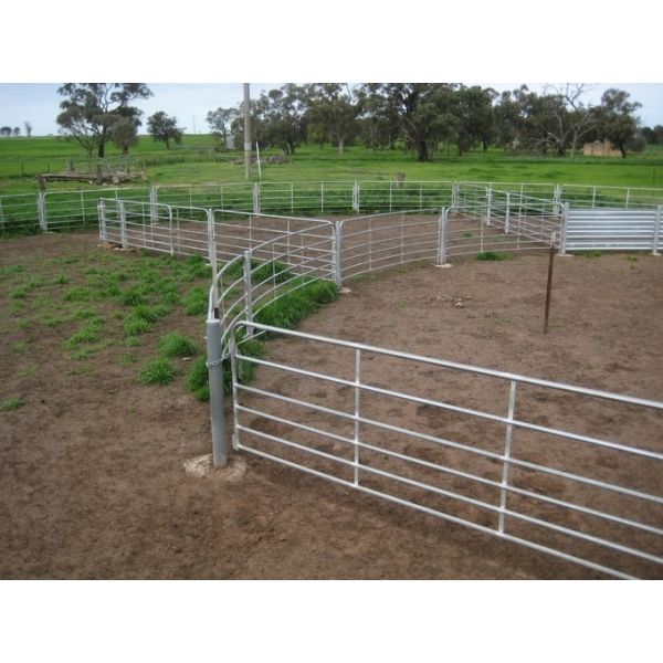 sheep panels for sale