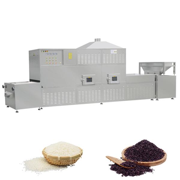 Extrusora artificial admirada altamente automática 200 do arroz - 250kg/H