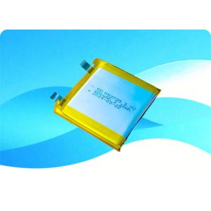 Lithium Polymer Battery