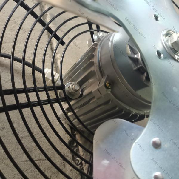 Stainless Steel IQF Tunnel Freezer Customized Individual Quick Freezing Equipment