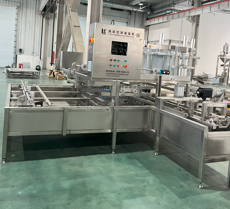 Fully Automatic Bean Product Processing Machine for Commercial Tofu Production Line