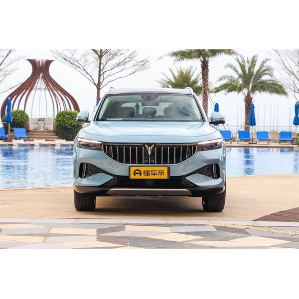 Dongfeng Voyah 