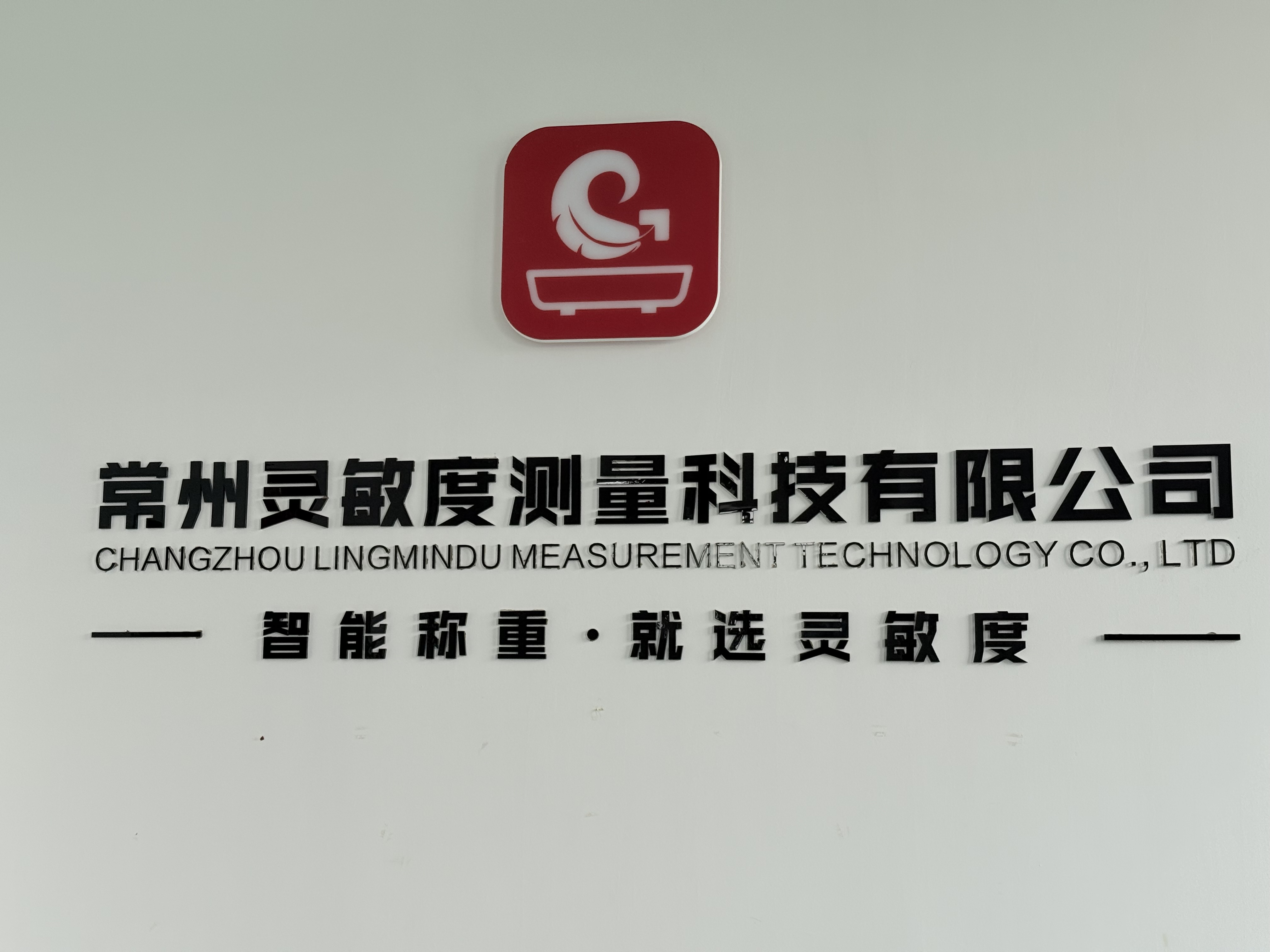 Changzhou Lingmindu Measurement Technology Co., Ltd.