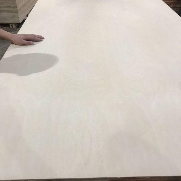 Construction Poplar 1250mm×2500mm Faced Birch Plywood