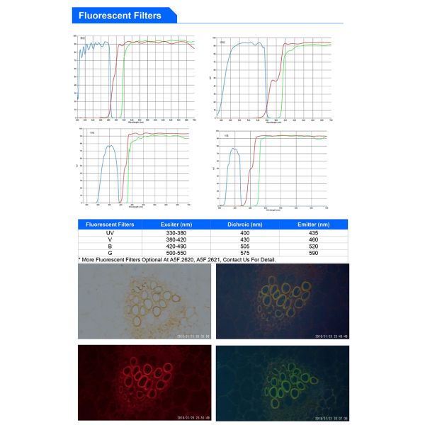 OPTO-EDU A16.2603-UL LED Fluorescent Light Microscopy 6V 30W Halogen Ultra LED Fluorescent Microscope