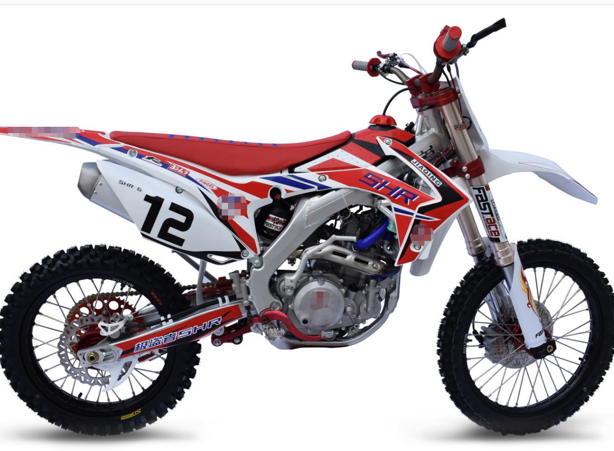 120Km/H Enduro Dual Sport Motorcycles 250cc Electric Enduro Dirt Bike