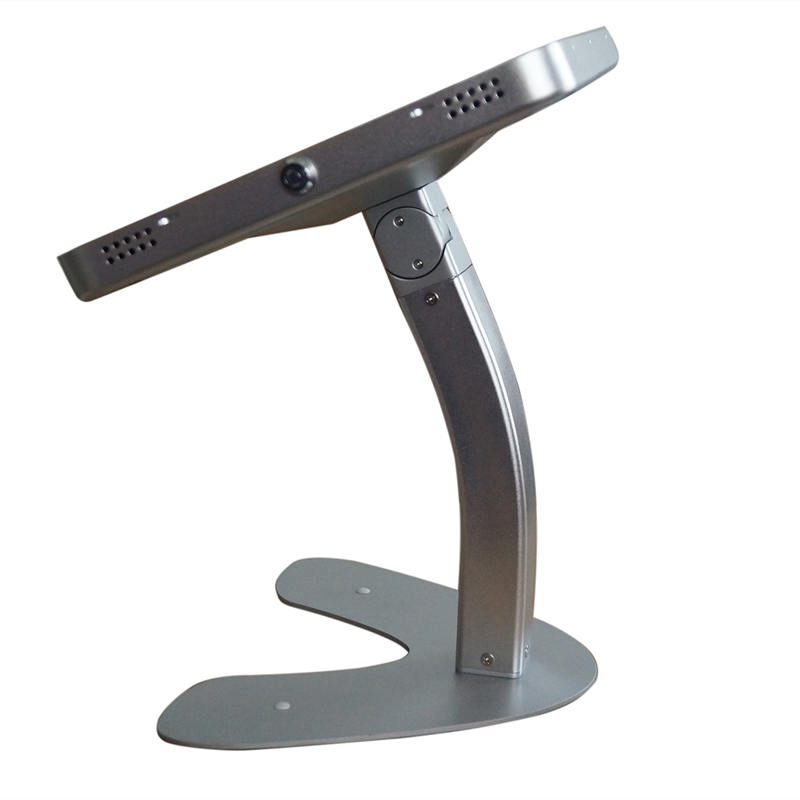 Кронштейн 12,9 Ipad в-образности утюга Pro 3KG с трубкой 26cm