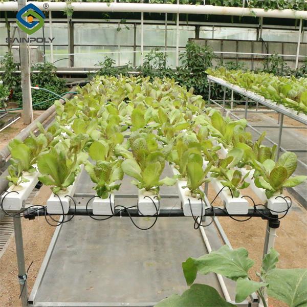 Galvanized Frame Multi Span Greenhouse With Hydroponic Growing Systems