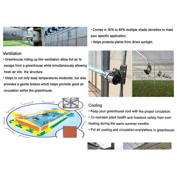 PC Sheet Cover Material Multi-Span Agricultural Greenhouse for Vegetable Growing