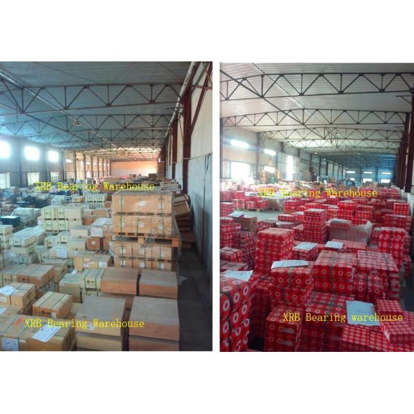 Liaocheng Explorer Bearing Manufacturing Co.,Ltd