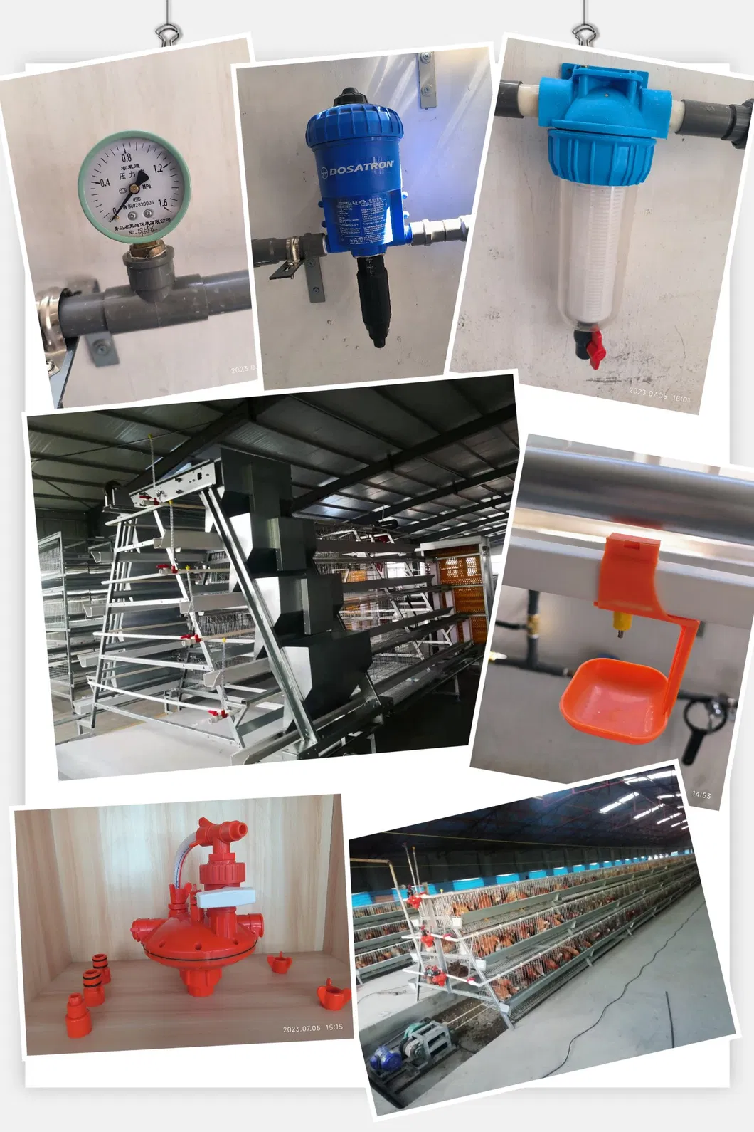 Galvanized Steel Automatic Poultry Farm Equipment Chicken Battery Cage H Type