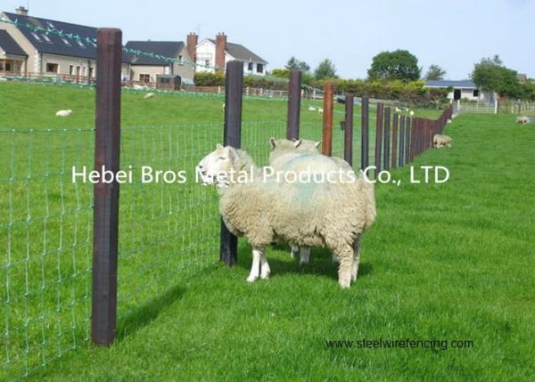 Hot Dipped Galvanized Field Fence , High Tensile Woven Wire Fence Rolls