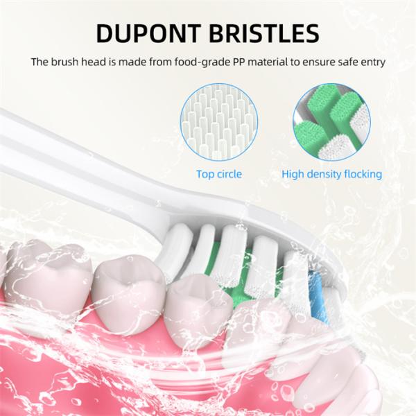 31200VPM IPX7 Adult Electric Toothbrush Oral Care Type-C Rechargeable