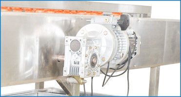 Parallel Roller Seafood 800kg Fruit And Vegetable Washer Machine