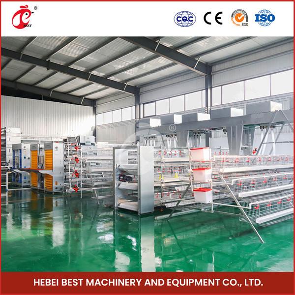 6 Tiers Chicken Egg Laying Cages Capacity 90/96/120/128/160/200 Star