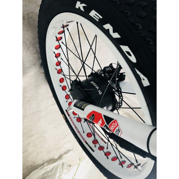 48V 14AH Rear Basket 4.0 Snow Tire Electric Cargo Tricycle with USA CE Certification