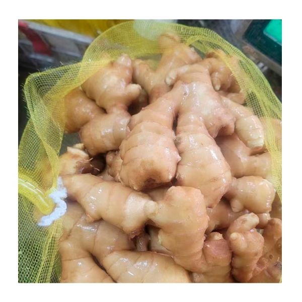 China Supplier 20kg Farm Planting Ginger Fresh Ginger Export