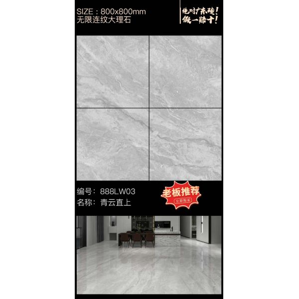 800 * 800 мм внутренние фарфоровые плитки Легкое обслуживание Противопоказание пятнам