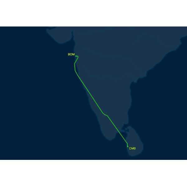 Experienced Air Freight From China To Asia Quick Cargo And Freight Agents