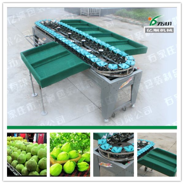 Guava/Apple/Pear/Mango/Tomato/Potato weight grading machine