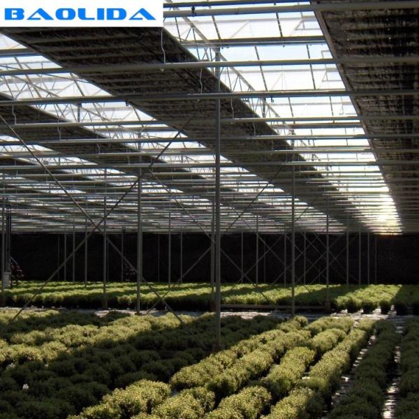 Agriculture Automated Blackout Greenhouse / Plastic Polythene Grow Tunnel