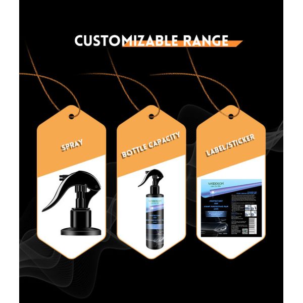 Car Paint PPF Sprayer Cleaner Liquid 250ml UA Resistant strong Clean The Particles