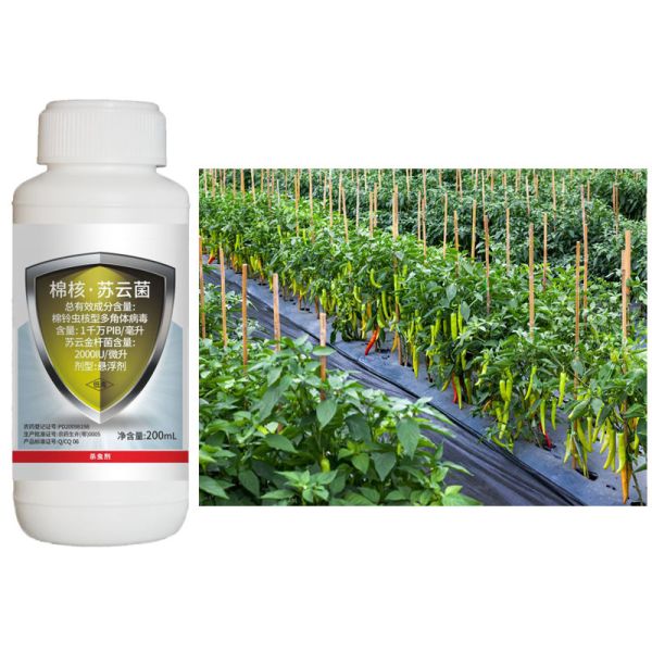 Organic Biological Pesticide with 10 million PIB/mL HaNPV+2000IU/mL Bt for No