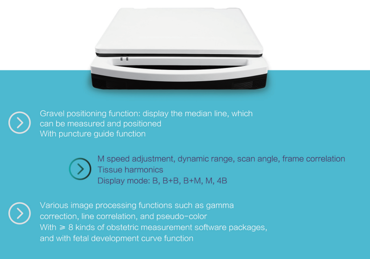 Digital Human Veterinary Portable Ultrasound Machine Ultrasound Portable Ultrasound