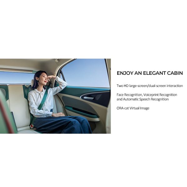 5 Seats Sedan Ora Hao Mao Chinese Electric Vehicles 150km/H