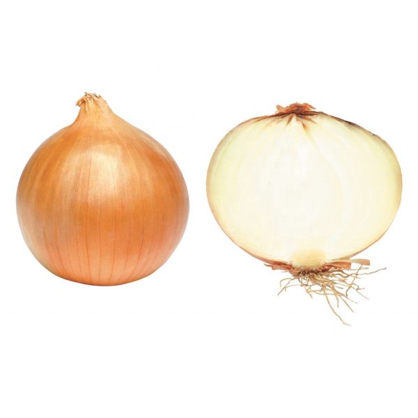 Onion from Shandong Origin 2023 Crop Yellow and Red Onion Supply with 100% Maturity