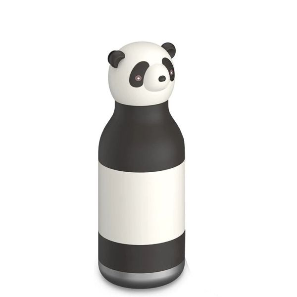 Insulated Kids Water Bottle