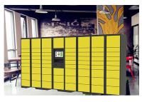 El telecontrol de la red maneja los armarios de la entrega del paquete del almacenamiento con el lector de tarjetas del RFID y la luz UV