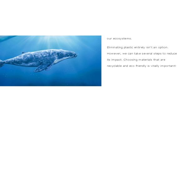 Compostable Mailing Eco Friendly Shipping Bags With Eco Friendly Packaging Envelopes Supplies Mailing Bags