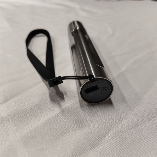 Светотерапия Факел 630nm 660nm 850nm Лечение боли Лечение артрита Стареющие домашние животные