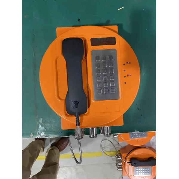 Outdoor IP66 Explosion Proof Telephone with Aluminium Alloy Enclosure and Strong Noise Canceling for Hazardous Areas