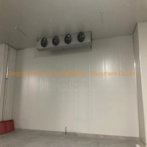 20FT Container de energia solar Sala de frio Ferradura de porta industrial com personalização de sangue