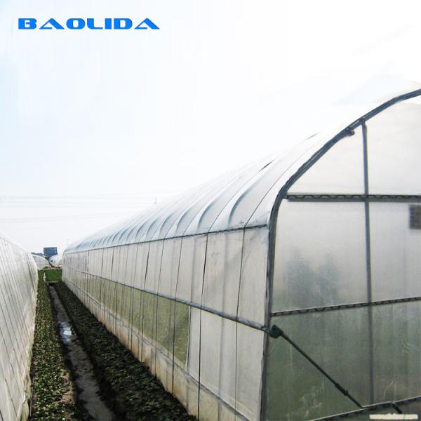 High Tunnel Agricultural Polyethylene Film Greenhouse For Tomato