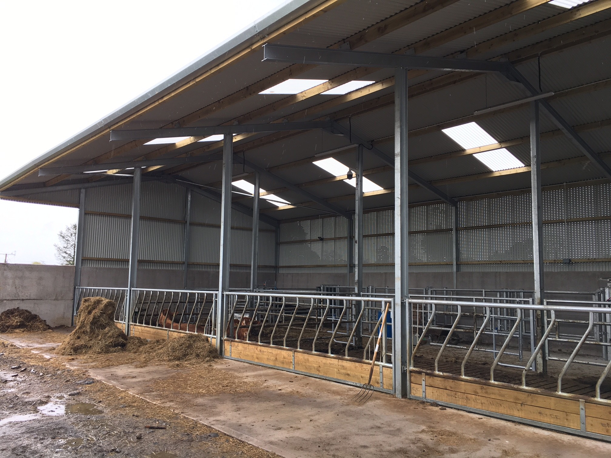 Customized Industrial Steel Sheds Modern Style Easy Install Shed For Dairy Farm