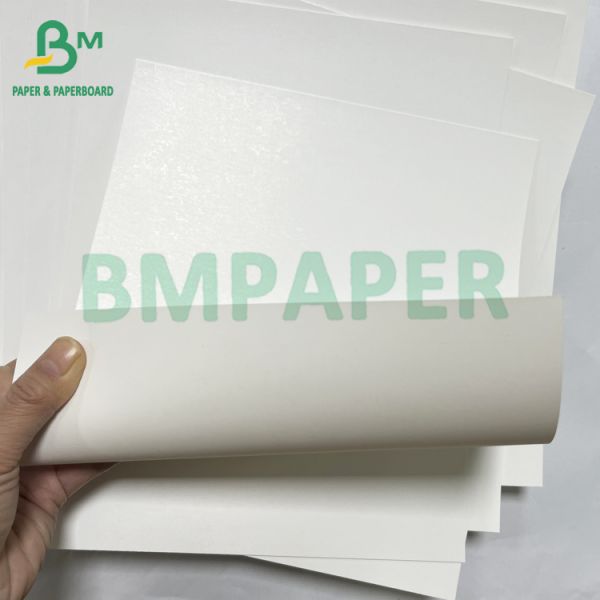 300grs Good Stiffness Smooth SBS Premium Box Sheet Ivory Board