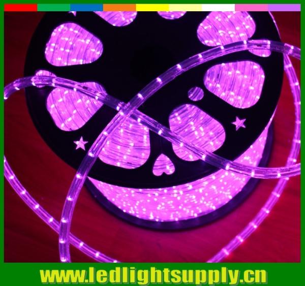 Flat rope flex light 1/2'' 2 wire 12/24v building decoration led duralight