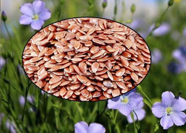 Natural Plant Healthy Edible Oil Fatty Acid Flaxseed Oil Organic For Cooking
