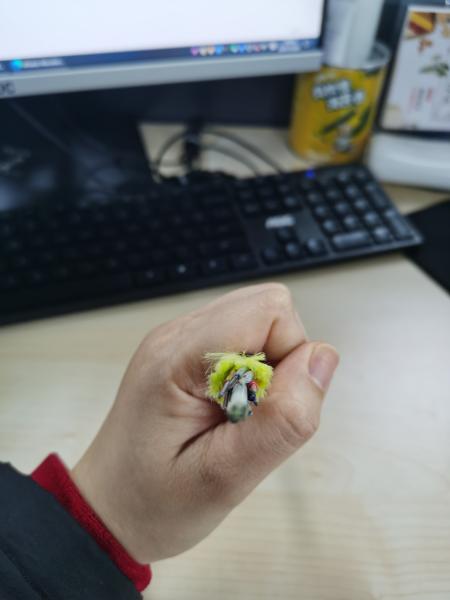 Non Metallic Single Jacket ADSS Fiber Optic Cable 6/12/24/48/96 Core 100/200m Span G652D