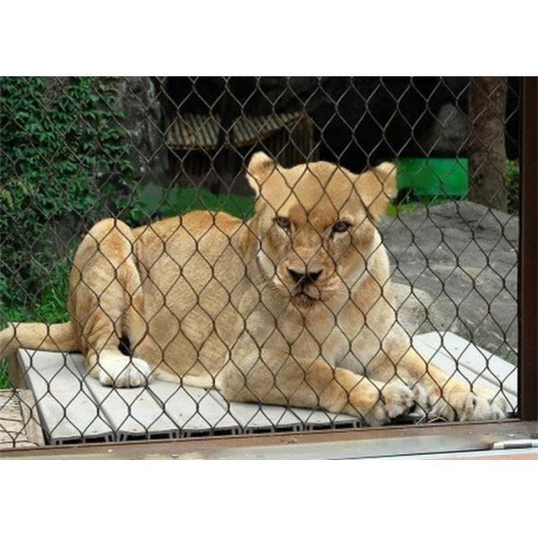 50m Length 1.5mm Flexible Stainless Steel Cable Mesh Animal Protect