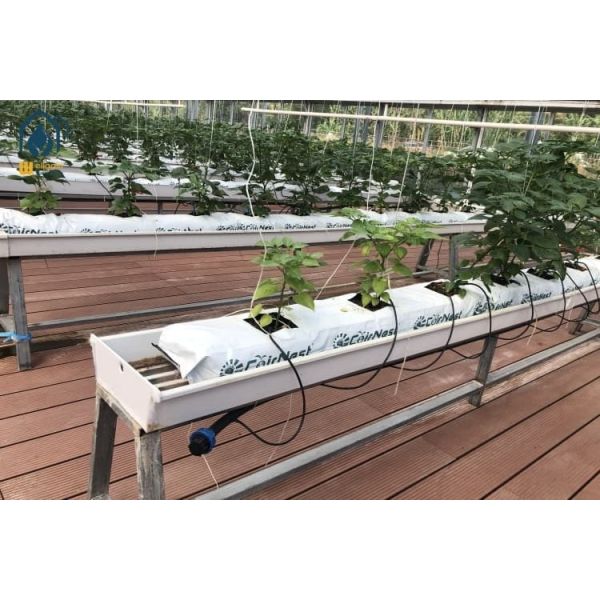 Eco Friendly Hydroponic Gutter System NFT Hydroponic System For Tomatoes