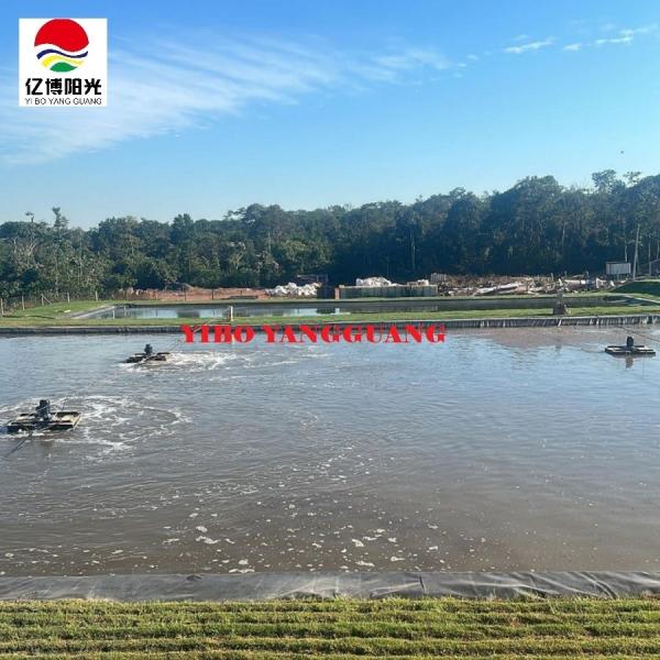 HDPE Geomembrane Waterproof 0.75mm 1mm Biofloc Tarpaulin Fish Tank Farming Pond Liner