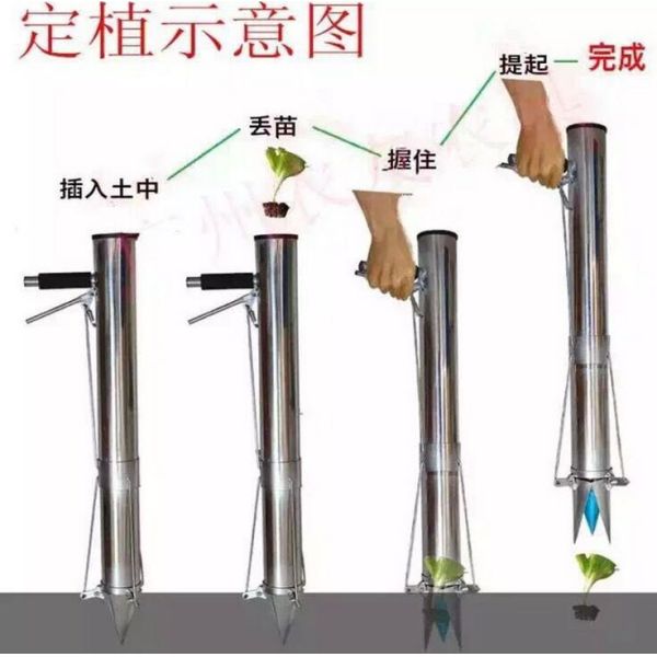 Three Openings, Stainless Steel Handheld Manual Seed Planter Vegetable Seedling Transplanter