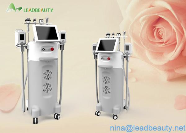 Cryolipolysis weight lose beauty machine multi-functional machine with good feedback